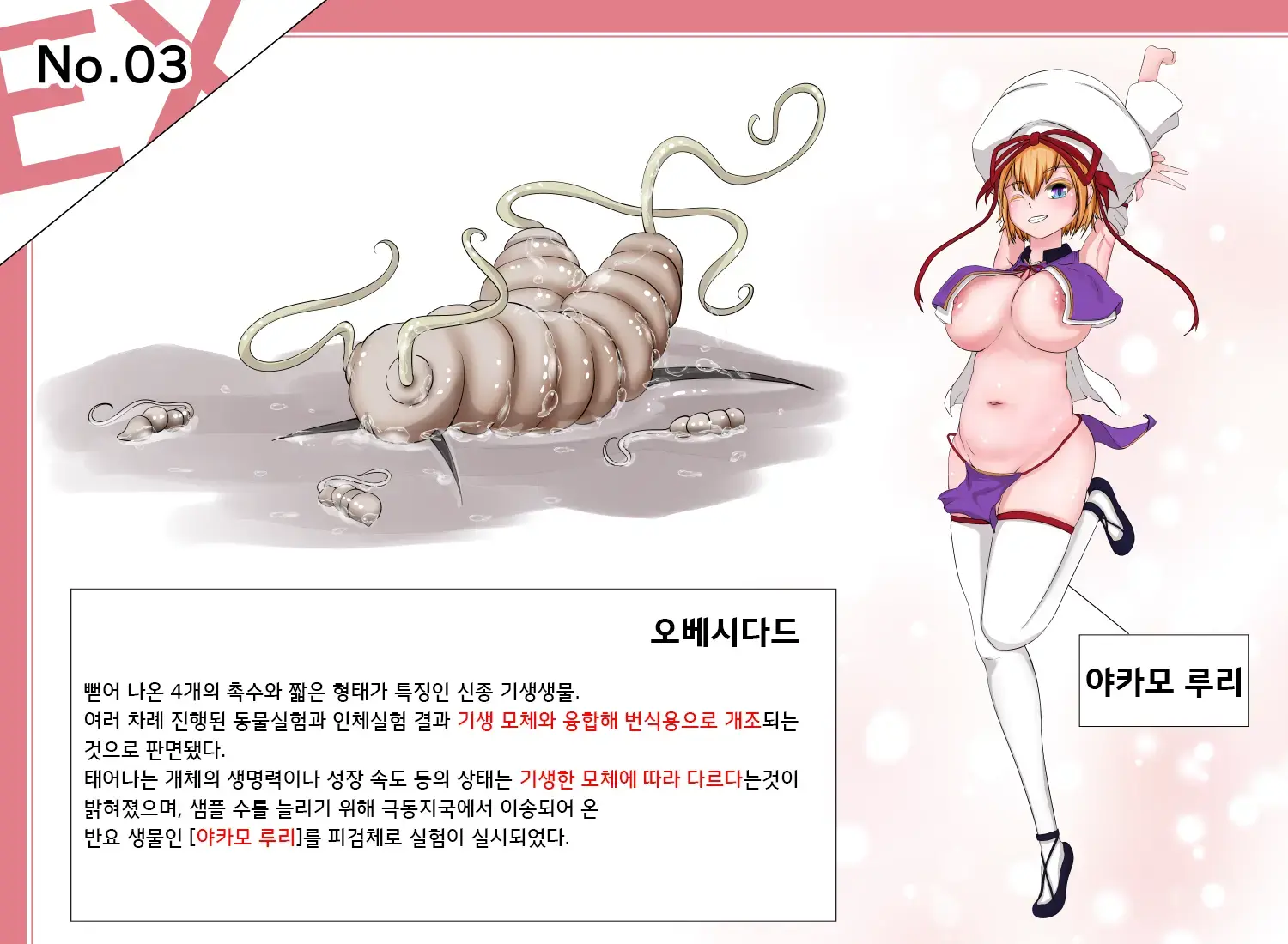 Insect Research Report EX